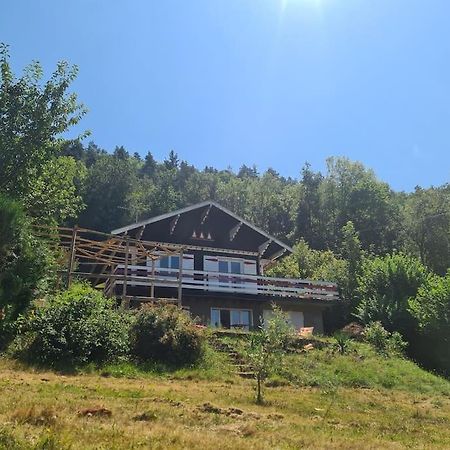 Le Chalet Des Amis Aurec-Sur-Loire Luaran gambar