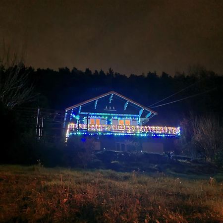 Le Chalet Des Amis Aurec-Sur-Loire Luaran gambar